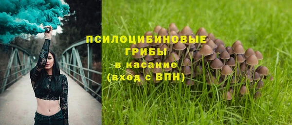 mdma Сафоново