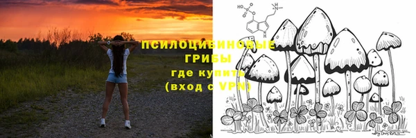 бошки Аркадак