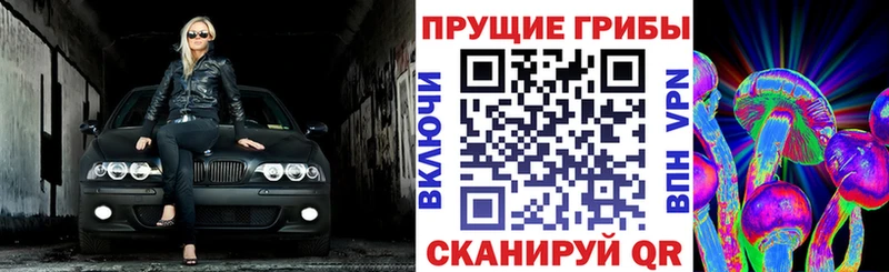 даркнет Telegram  Байкальск  Галлюциногенные грибы мухоморы 